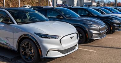 Global sales of electric and plug-in hybrid cars will hit record levels this year, with one in five new cars set to be electric or PHEV, according to the International Energy Agency (IEA).